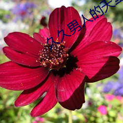 918博天堂·(中国)手机版客户端