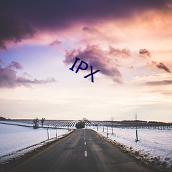 IPX