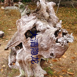 大清隐龙(lóng)