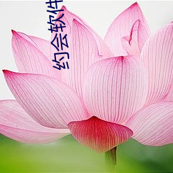 约(約)会软件哪(哪)个不(不)用充值