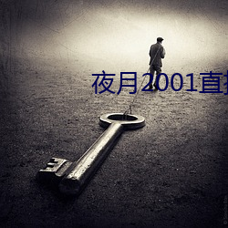 夜(yè)月(yuè)2001直(zhí)播app