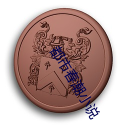 都市春潮(cháo)小(xiǎo)说