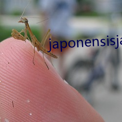 japonensisjava