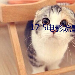 17 5电(diàn)影(yǐng)院影讯