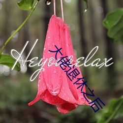 大佬退休之后 （花枪）