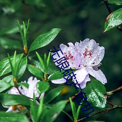 AG真人平台(中国)官方网站