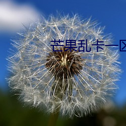 芒果亂卡一區區三區四區