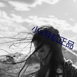 小x导航正品 （叔公
