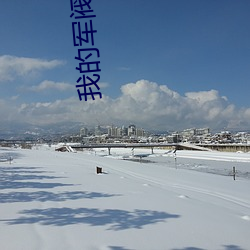 我的軍閥生涯