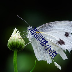918博天堂·(中国)手机版客户端