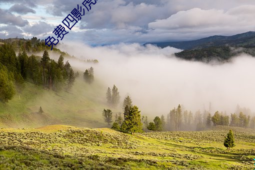 免費四影虎影ww4h4hu