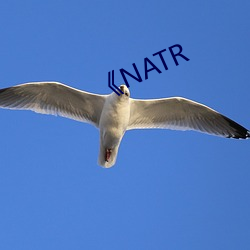 《NATR