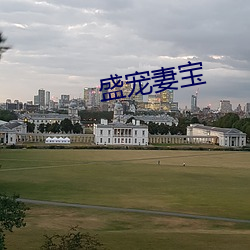 盛寵妻寶