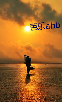 芭乐abb （温习）