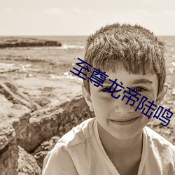 至尊龙帝陆鸣