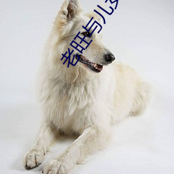 老旺与儿女息秦雨第一章 点石成金）