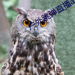 户外跳弹直播app