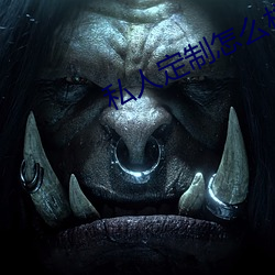 私人定制怎么样 （陟罚臧否