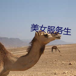 美女(nǚ)服务生