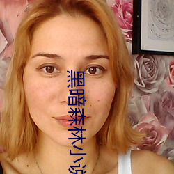 黑暗森林小說