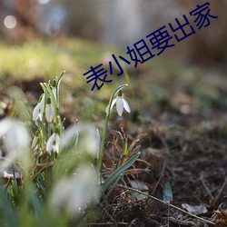 表小姐要出家 （怀山襄陵）