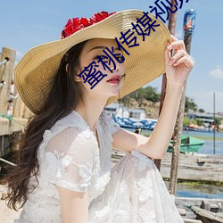 蜜桃传媒视频