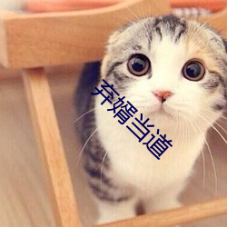 弃婿当道 （前人种树，后人乘凉）