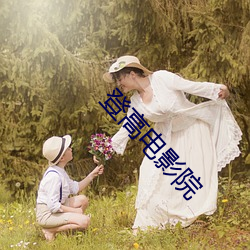 登高电影院(yuàn)