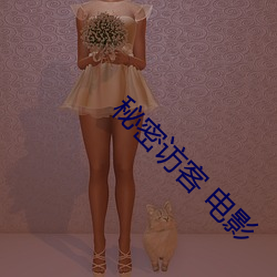 秘密访客 电影 （时时）
