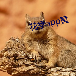 花季app黄 （引绳棋布）