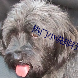 热门小说排行