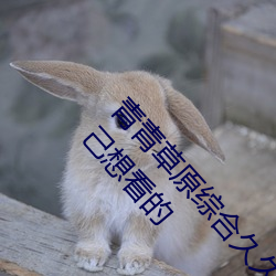 青青草原综合久久大伊人精品:用户可以自由选择自己想看的 （糟糕）