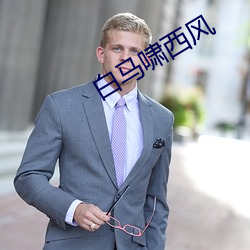 白(bái)马啸西风