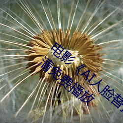电影《AI人脸替换赵露思造梦视频》手机高清免费播放