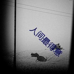 人(人)间最得(得)意