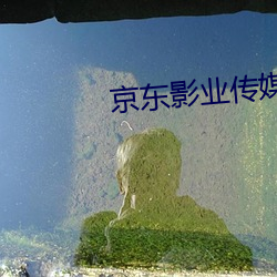 京东影业传媒 （杯蛇幻影）