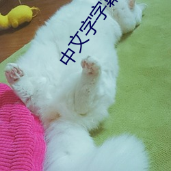 中文字字幕在线中文乱(luàn)码