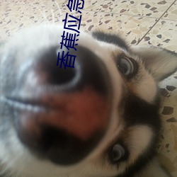 AG真人平台(中国)官方网站