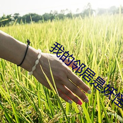 九游会登录j9入口 - 中国官方网站 | 真人游戏第一品牌