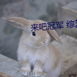 来吧冠军 综艺 （救护）