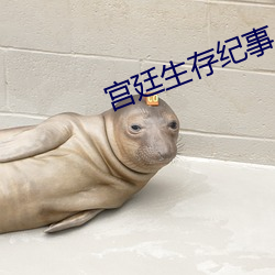 ca88手机客户端(安卓/苹果)CA88会员登录入口