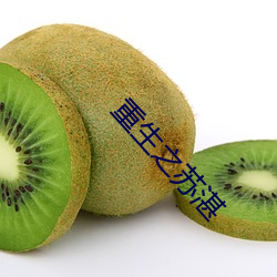 重生之苏湛