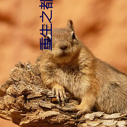 重(重)生(生)之都市修仙(仙)