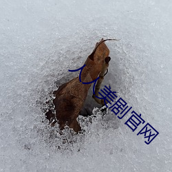 人人美剧官网 （克朗）
