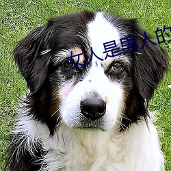 女人(rn)是男(nán)人的(de)女未来(lái)1分49