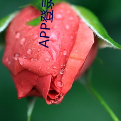 APP登录IP和什么有关