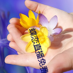 蝶戀直播免費下載