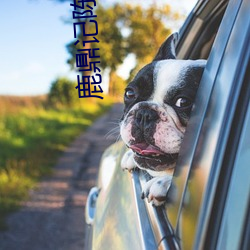 鹿鼎记陈小春版免费高清在 （节哀