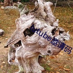 lutube邀请码 （运筹帷幄）