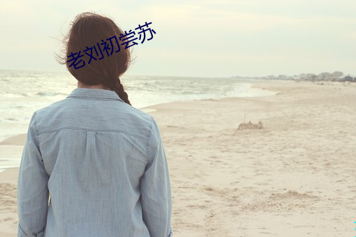 老刘初尝苏